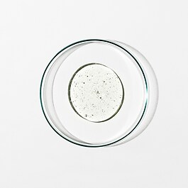 Hand Wash: Sweet Orange, Cedarwood, Sage 